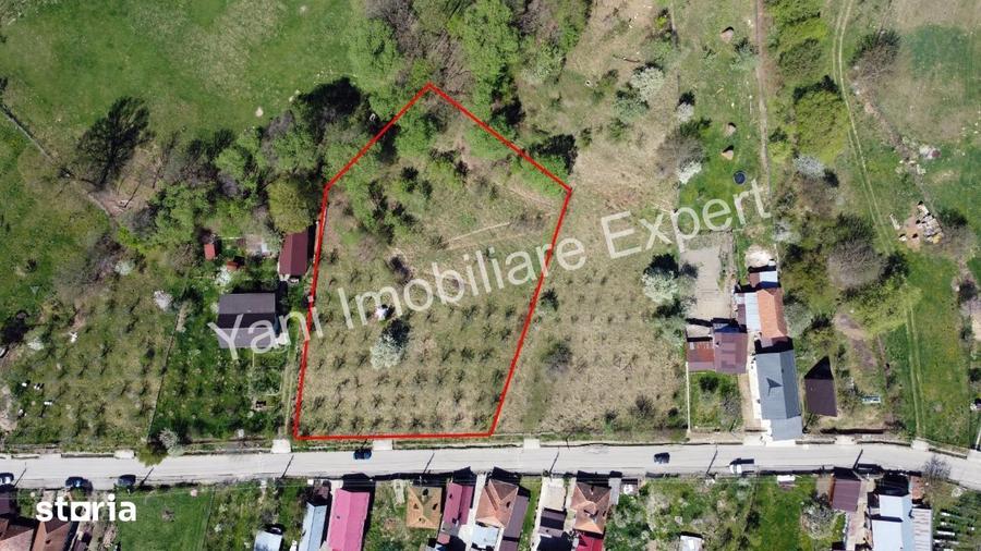 Teren de 3851 mp, în Curtea de Argeș