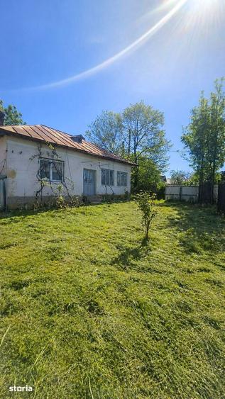 Teren de 1300 mp, în Mischii
