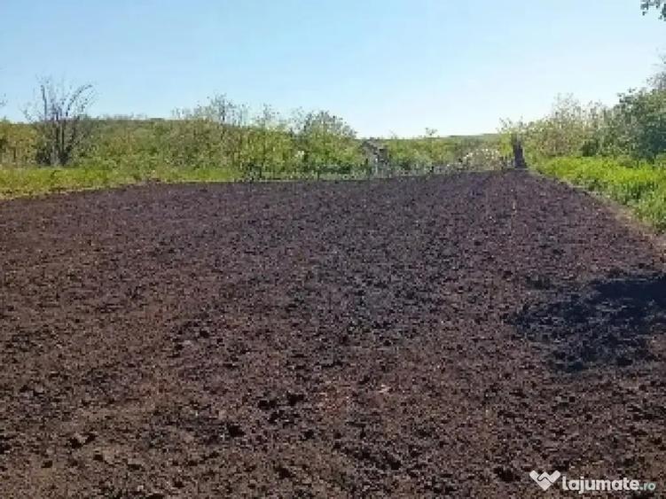 Teren de 2500 mp, în Trestiana