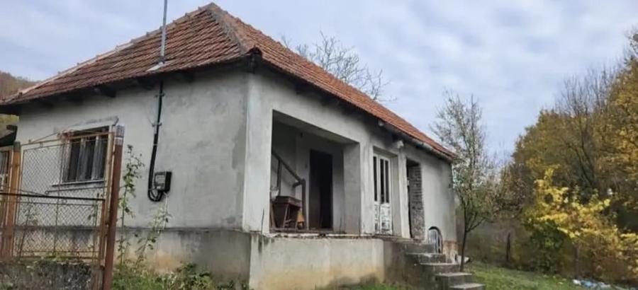 Casă cu 2 camere în Târnăvița