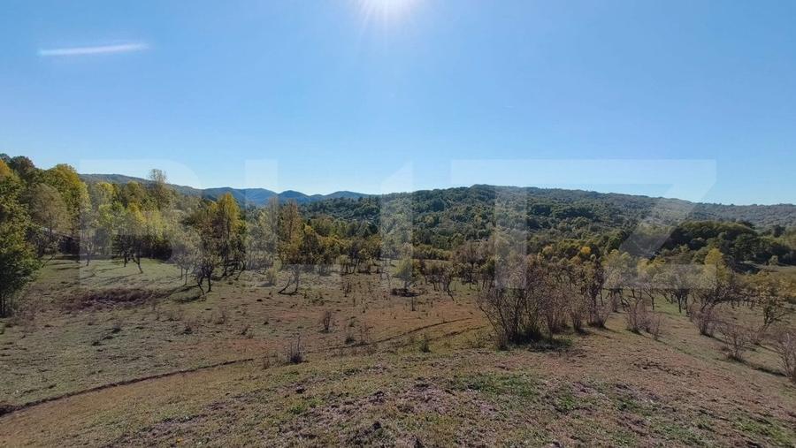 Teren agricol extravilan de 7382 mp, în Valea Lungă-Cricov