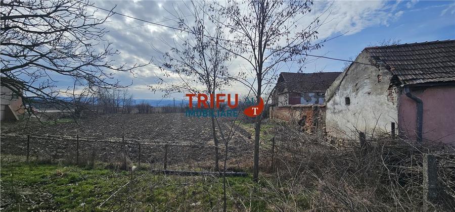 Teren Construcții intravilan de 8932 mp, în Șibot