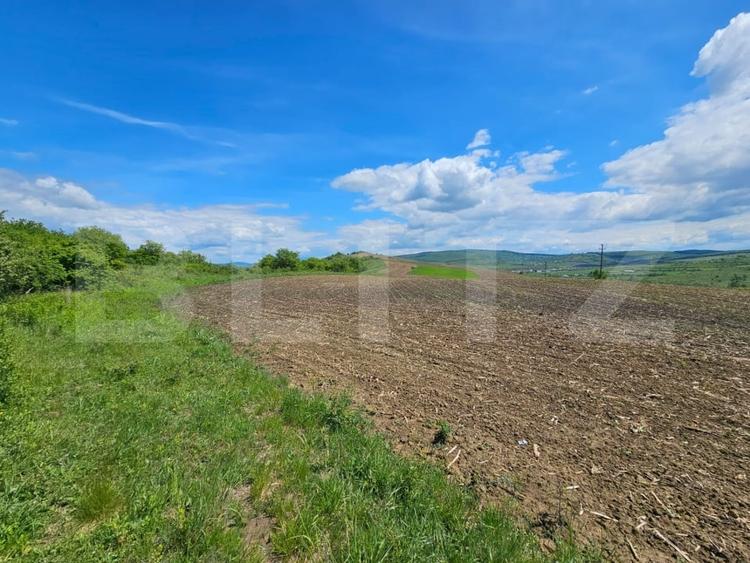 Teren agricol extravilan de 5800 mp, în Periferie