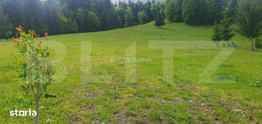 Teren 30.000 mp ( din care 3000 mp intravilan) in Dorna Candrenilor