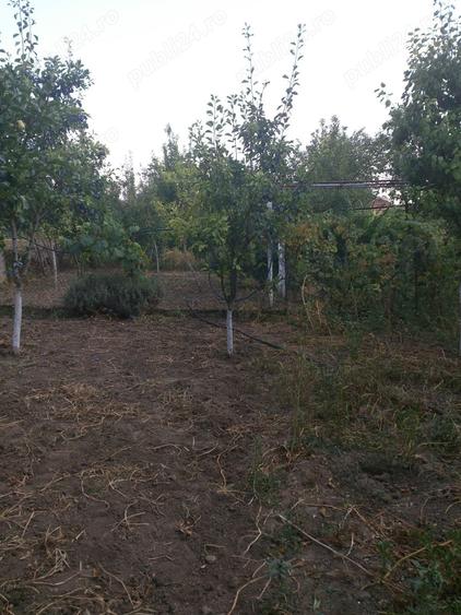 Casă cu 5 camere cu Teren 3000 Mp în Satchinez