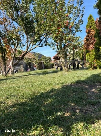 Casă cu 3 camere cu Teren 539 Mp în Sântana de Mureș