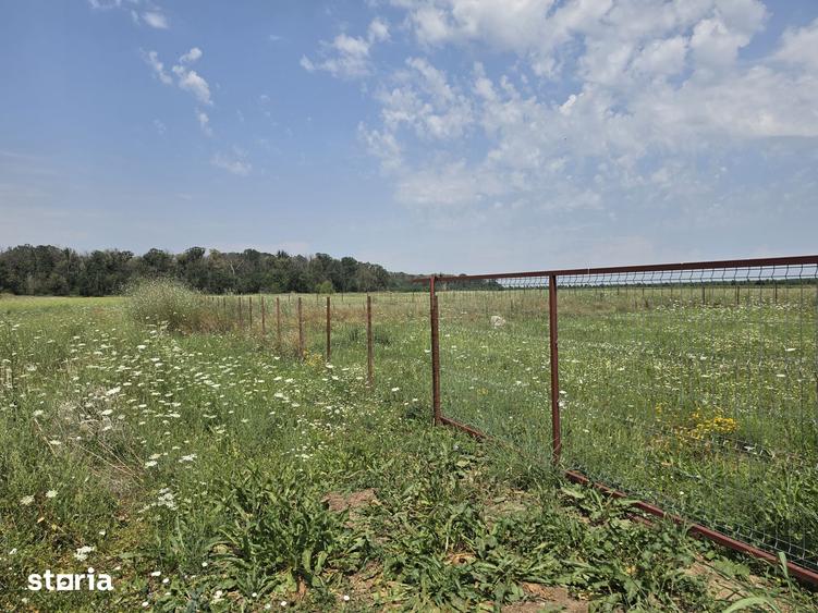 Teren de 460 mp, în Săbăreni