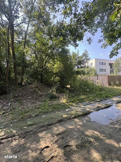 Teren de 1420 mp, în Mogoșoaia