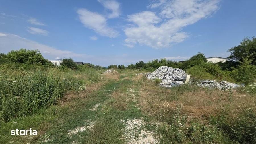 Teren 5000mp Mogosoaia - 4