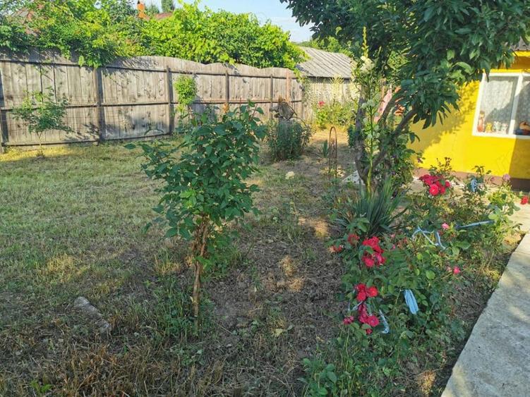 Casă individuală cu 2 camere cu Teren 1700 Mp în Vârfu Câmpului