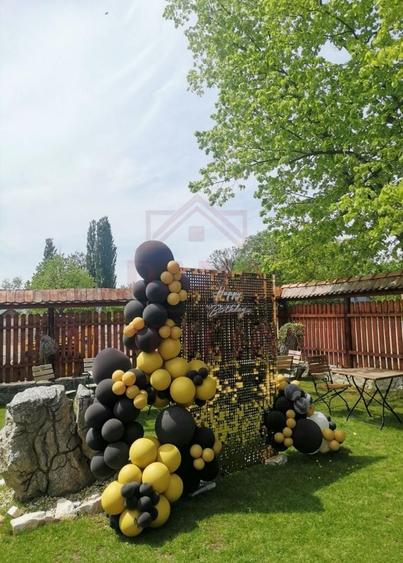 Proprietate specială, de 200 mp, în Obreja