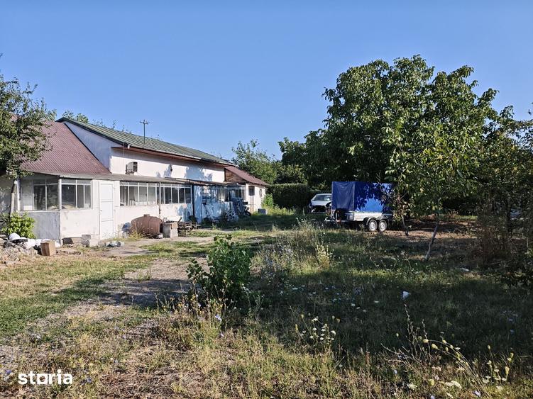 Teren de 1000 mp, în Cernica