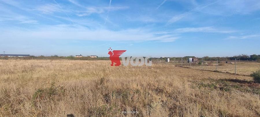 Teren de 900 mp, în Torontalului