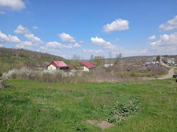Teren de 1150 mp, în Dămienești