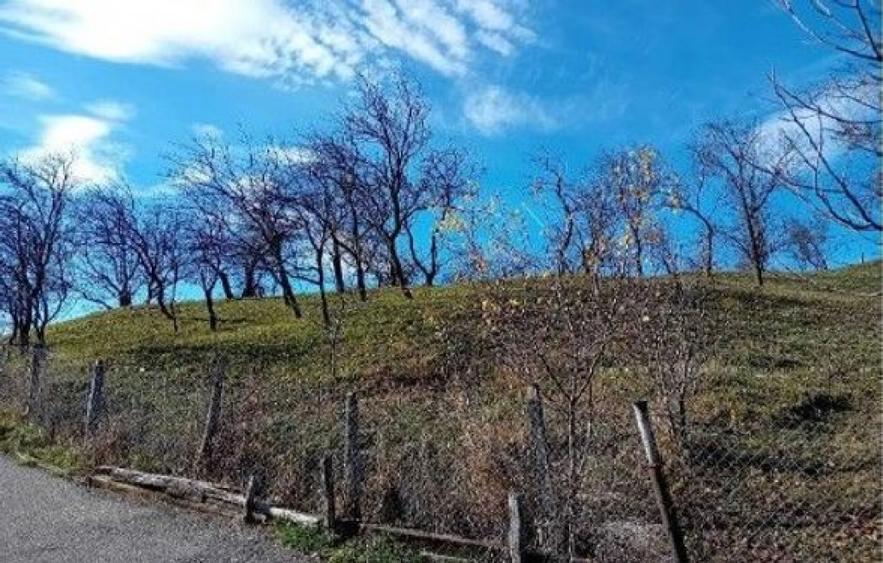 Teren de 2894 mp, în Vistieru