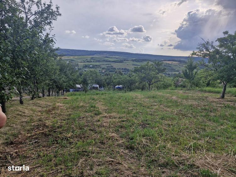 Teren de 740 mp, în Tomești