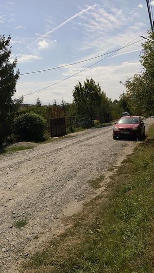 Spațiu comercial, în Daia