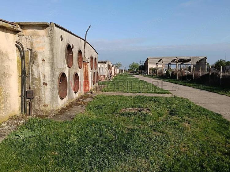 Teren de 25000 mp, în Călacea