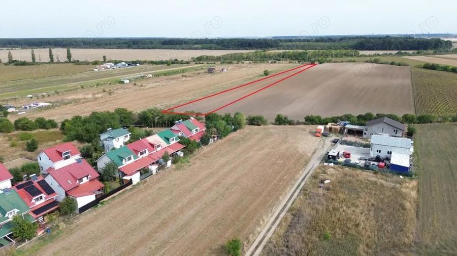 Teren de 6000 mp, în Dârza