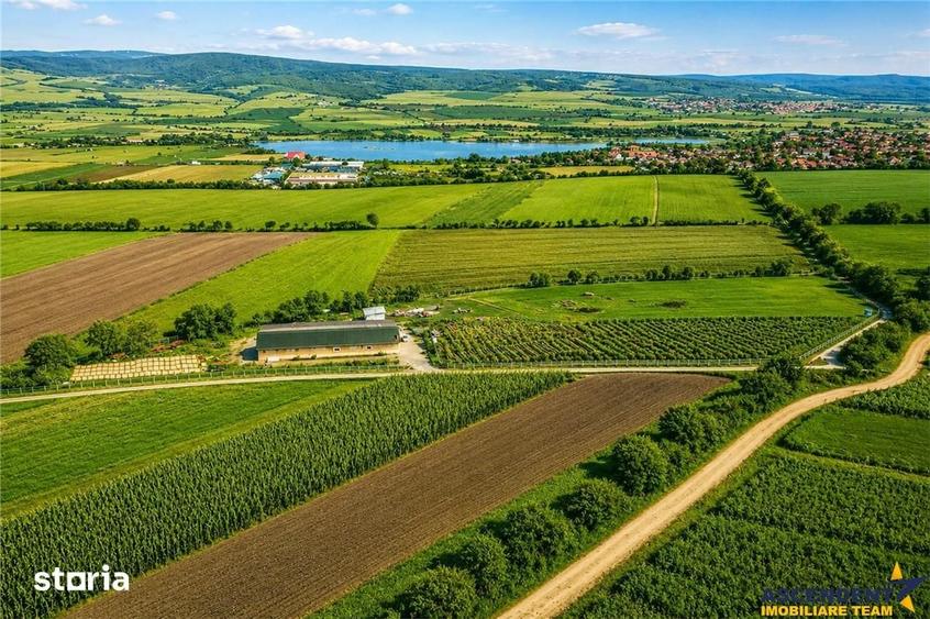 Teren de 18000 mp, în Feldioara