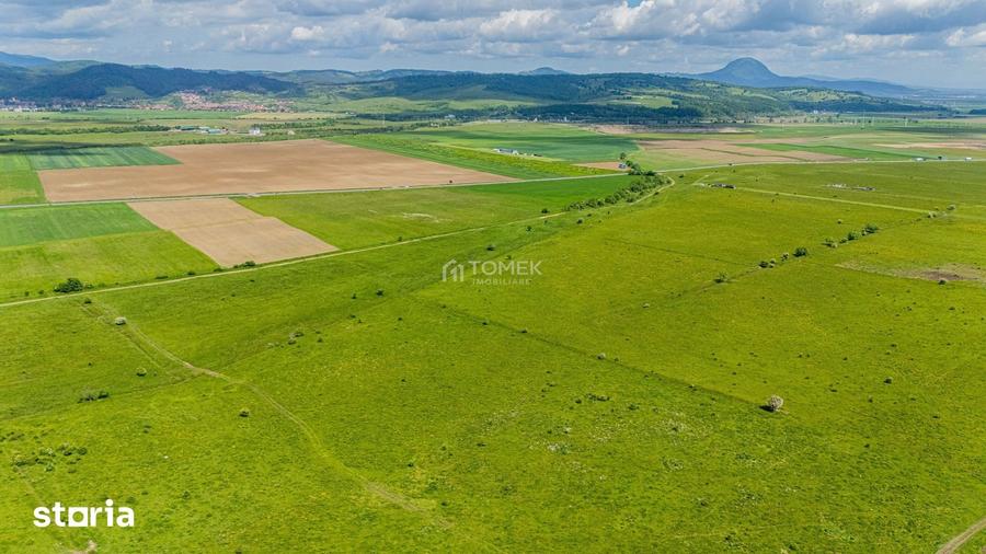 Teren de 5800 mp, în Central