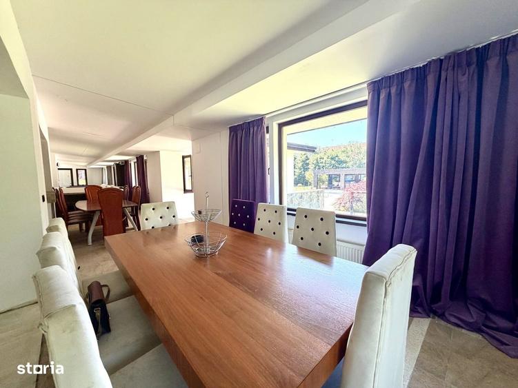 Domeniu Privat cu 3.278 mp Teren | Piscina, Iaz Ornamental si Resedint - 6