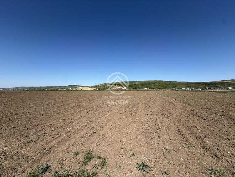 Teren extravilan de 2900 mp, în Sânnicoară