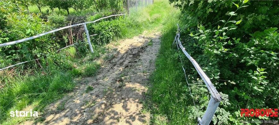 Teren de 2033 mp, în Mărgineni