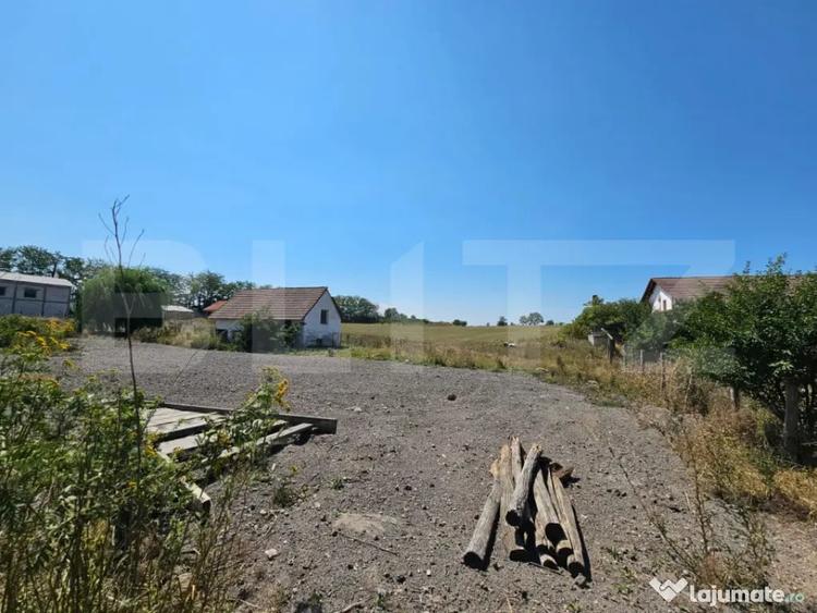 Teren intravilan, 4.000 mp, zona Vin?u de Jos - Pianu - 3