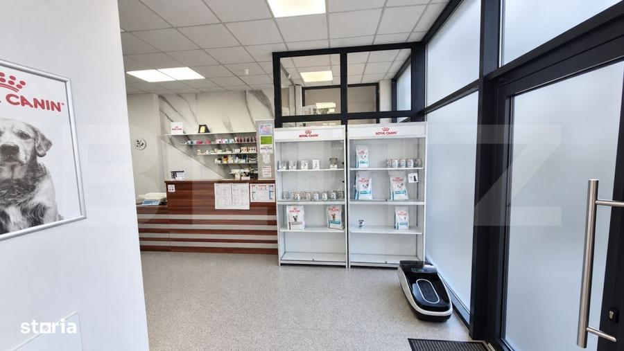 Spațiu comercial, de 200 mp, în Careiului