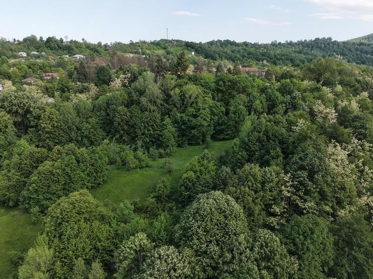 Teren Construcții intravilan de 17000 mp, în Doftana