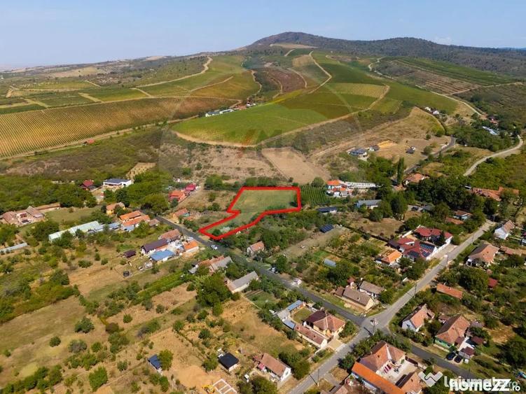 Teren de 4184 mp, în Miniș