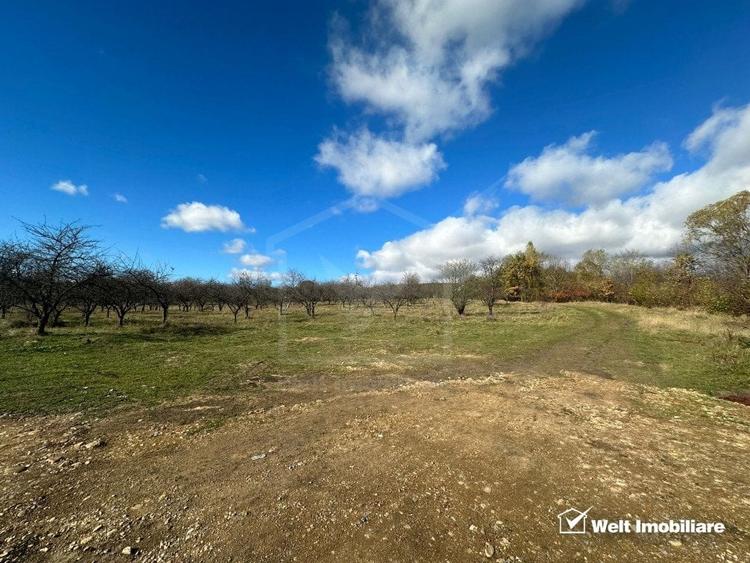 Teren agricol extravilan de 4750 mp, în Dâmbul Rotund