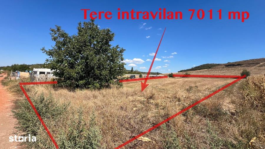 Teren de 7011 mp, în Viile Sibiului