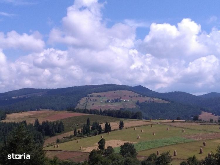 Teren de 2922 mp, în Arieșeni