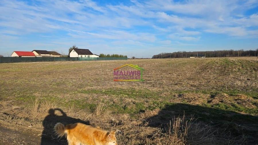 Teren intravilan de 3822 mp, în Cornetu