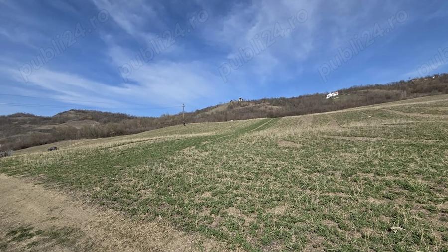 Teren de 600 mp, în Central