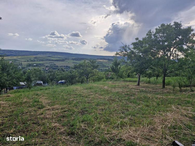 Teren de 740 mp, în Tomești