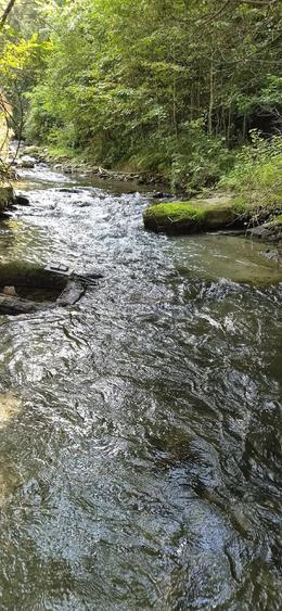 Teren de 2500 mp, în Dejani