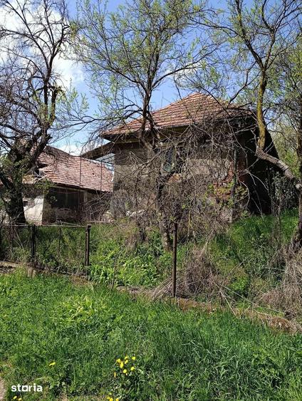 Casă cu 2 camere cu Teren 5300 Mp în Sânpaul