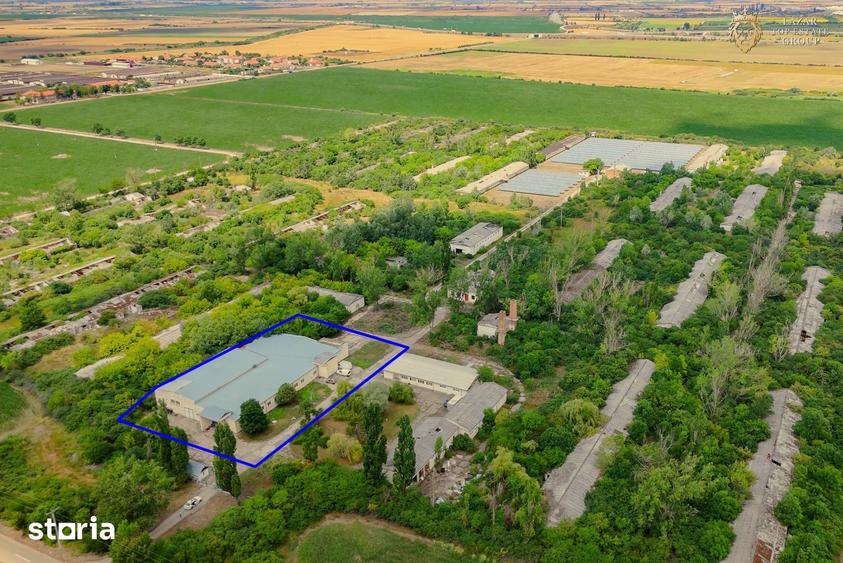 Hala industriala de vanzare Arad - 5