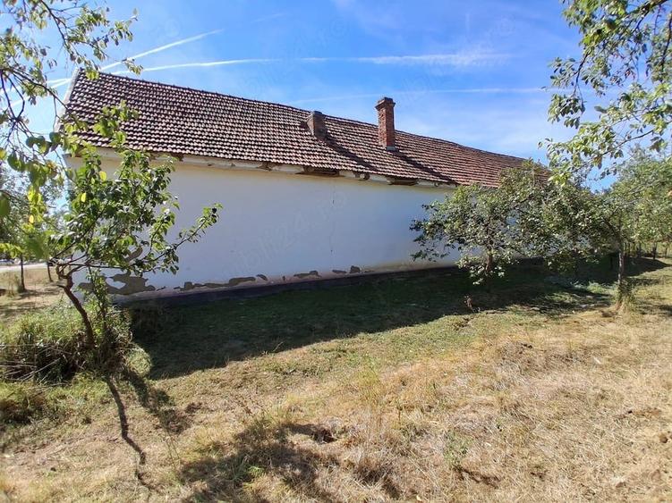 Casă cu Teren 3001 Mp în Bethausen