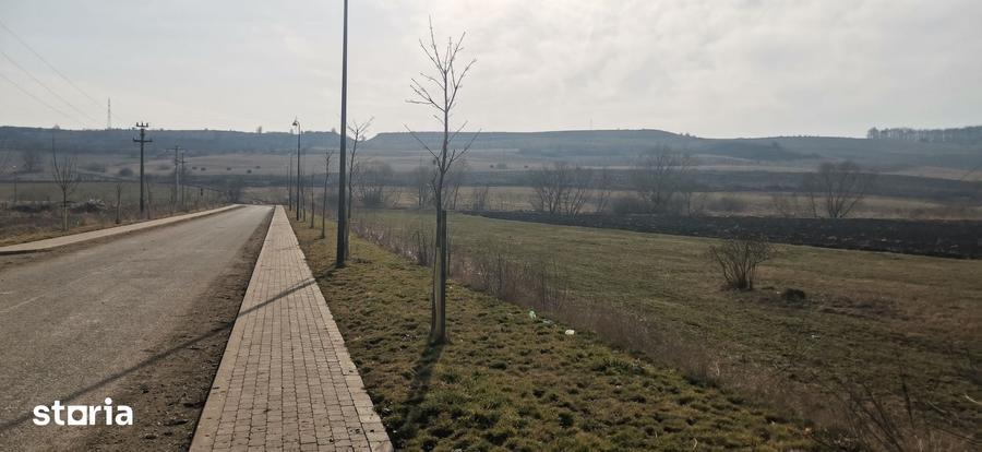 Teren de 1500 mp, în Vultureni