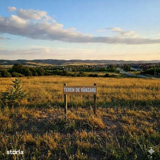 Teren 5.000 mp de vanzare acces cale ferata secundara oportuni - 1