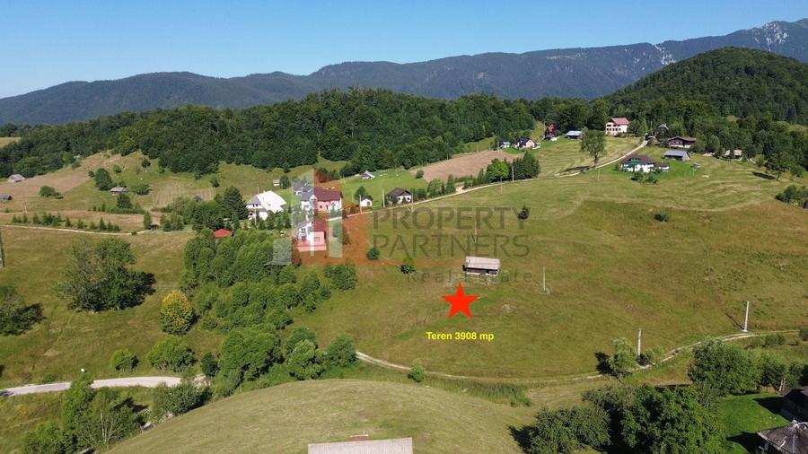 Teren Construcții intravilan de 3908 mp, în Dâmbovicioara