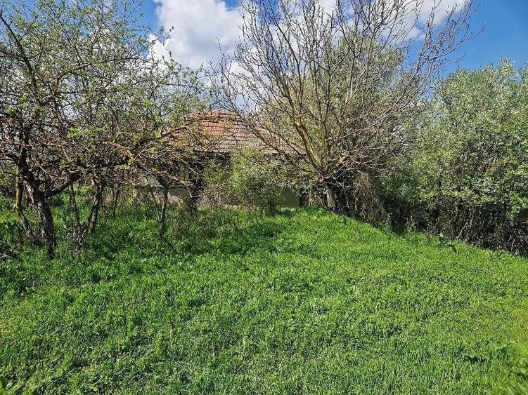 Teren de 3800 mp, în Moșteni