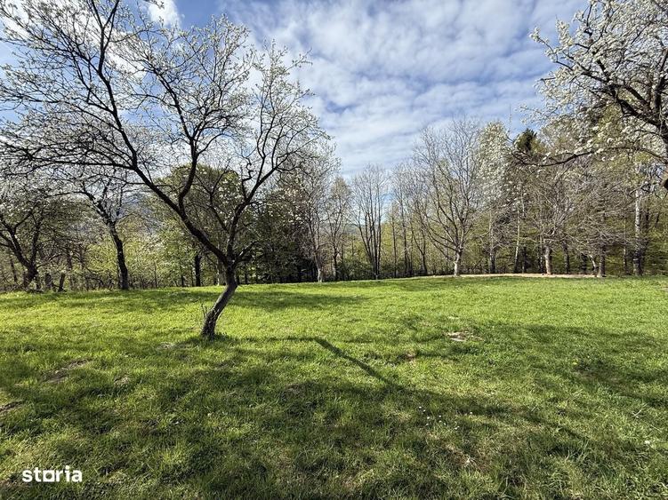 Teren intravilan 1355 mp in zona Bran, judetul Brasov - 6
