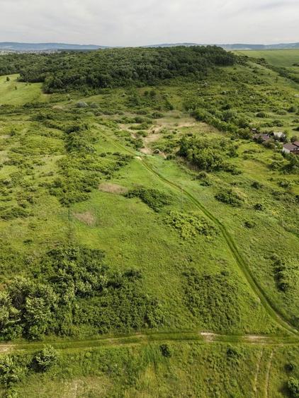 Teren agricol extravilan de 7172 mp, în Valea Ursului