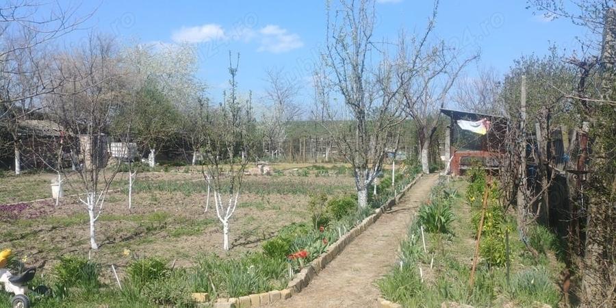 Casă cu Teren 1125 Mp în Micălaca
