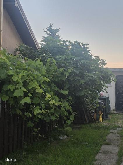 Casă cu 4 camere cu Teren 480 Mp în Berceni